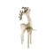 Northlight Lighted Reindeer Outdoor Christmas Decoration - 46.5" - Clear Lights